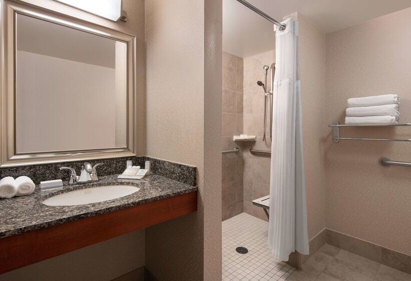 Отель Hilton Garden Inn Denver Downtown