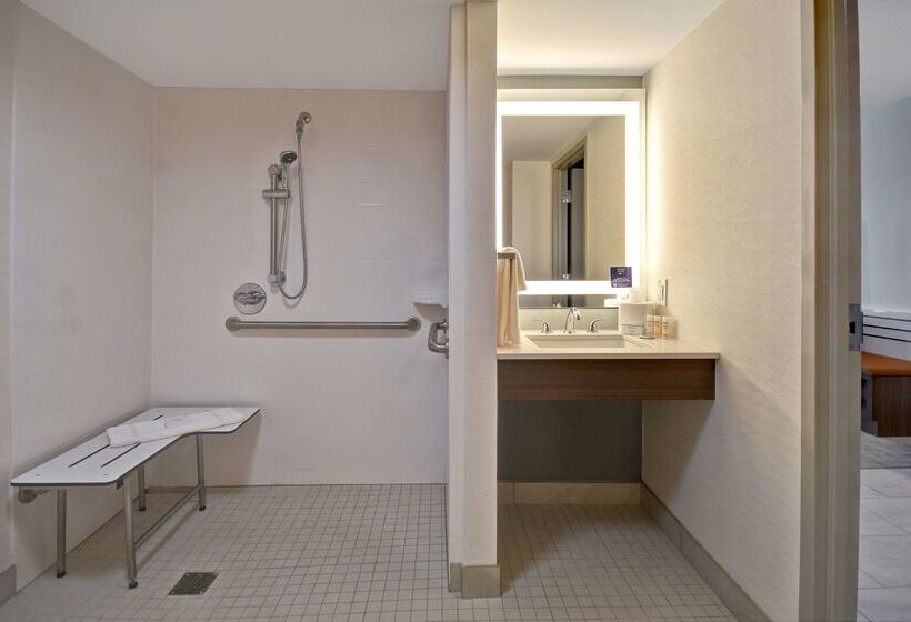 酒店 Hilton Garden Inn Detroit Metro Airport