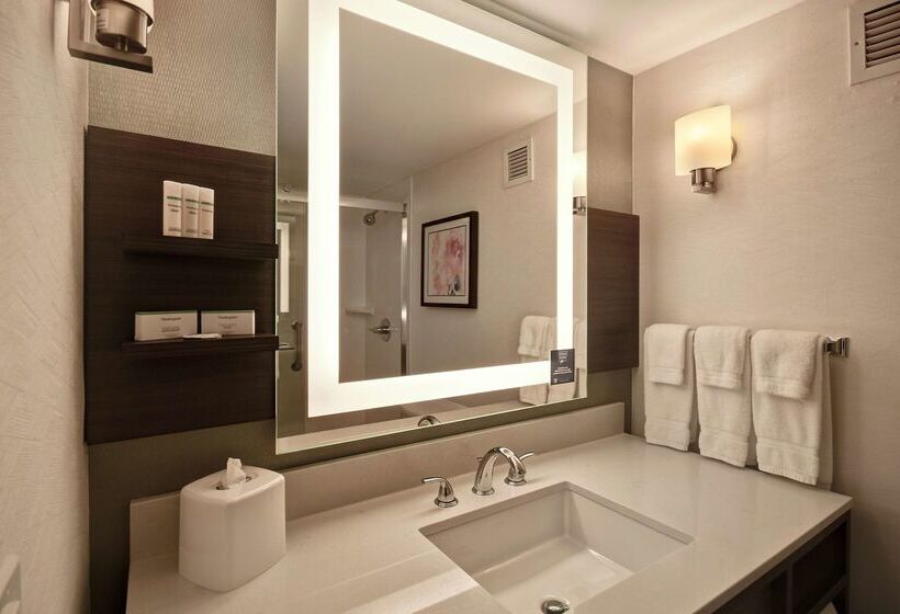 酒店 Hilton Garden Inn Detroit Metro Airport