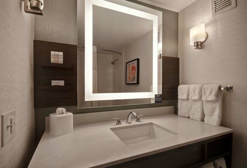 酒店 Hilton Garden Inn Detroit Metro Airport