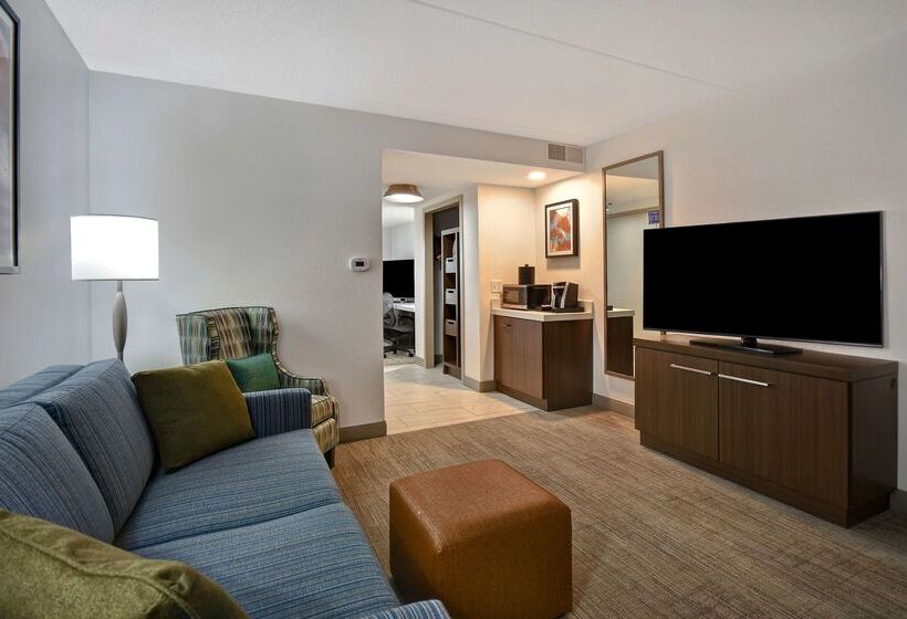 酒店 Hilton Garden Inn Detroit Metro Airport