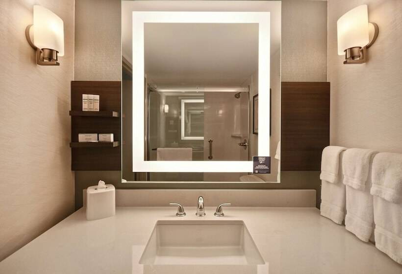 酒店 Hilton Garden Inn Detroit Metro Airport