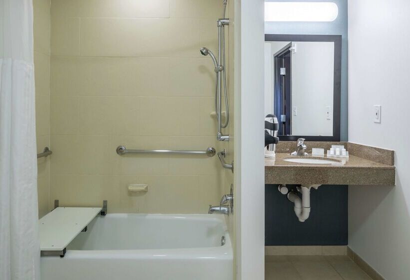 호텔 Hilton Garden Inn Dfw North Grapevine