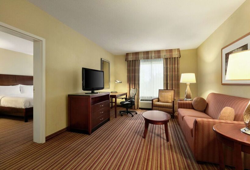 酒店 Hilton Garden Inn Fort Myers Airport/fgcu