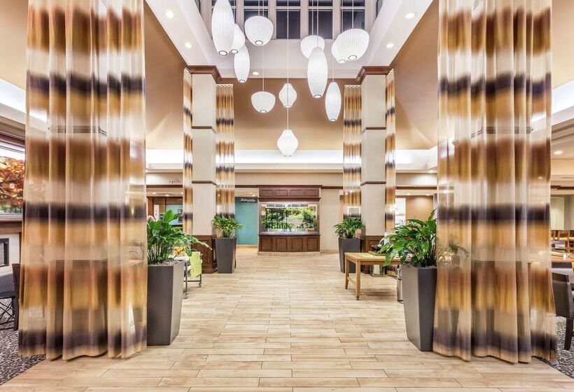 فندق Hilton Garden Inn Gainesville