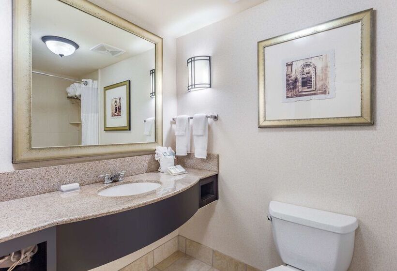 فندق Hilton Garden Inn Gainesville