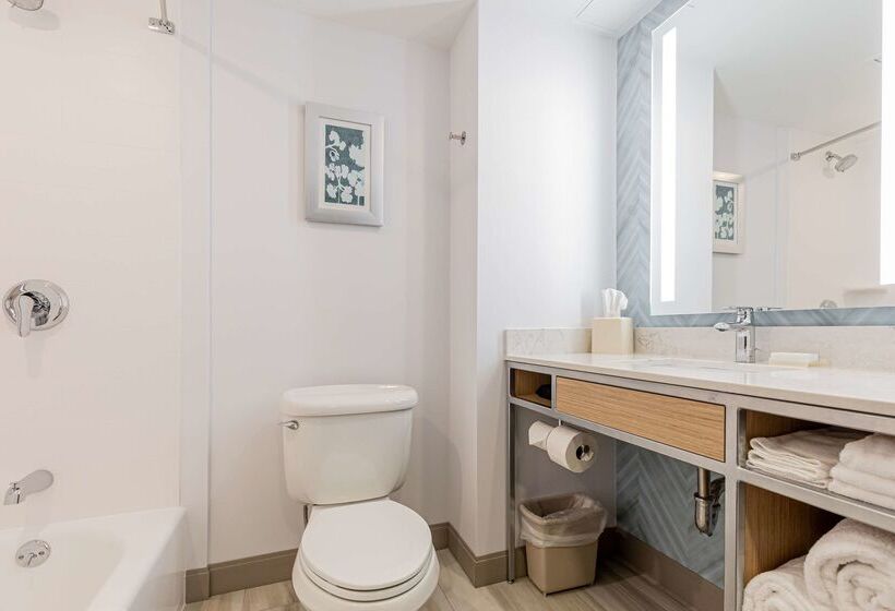 فندق Hilton Garden Inn Ithaca