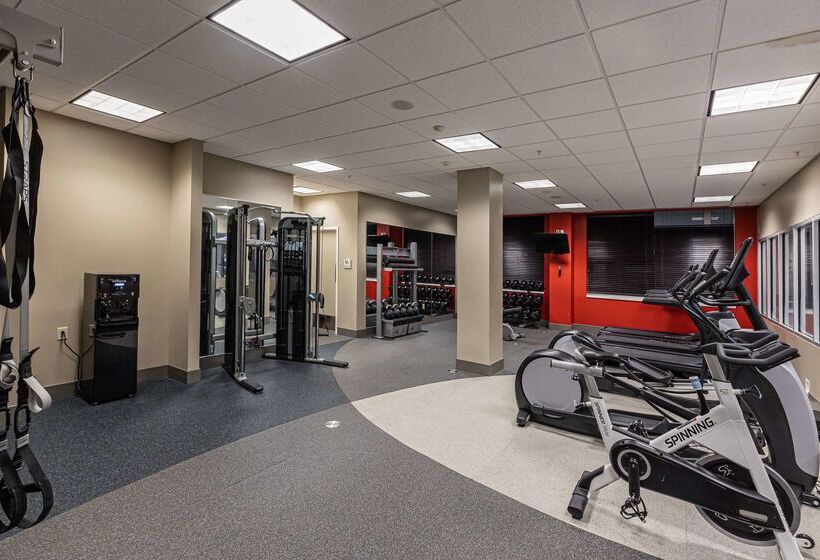 فندق Hilton Garden Inn Ithaca