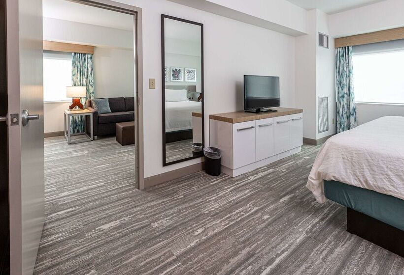 فندق Hilton Garden Inn Ithaca