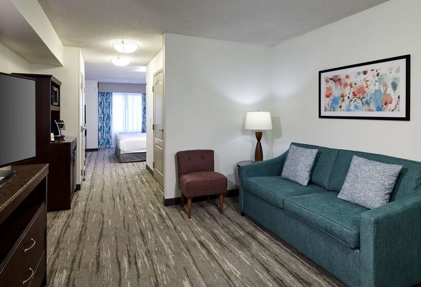 فندق Hilton Garden Inn Merrillville