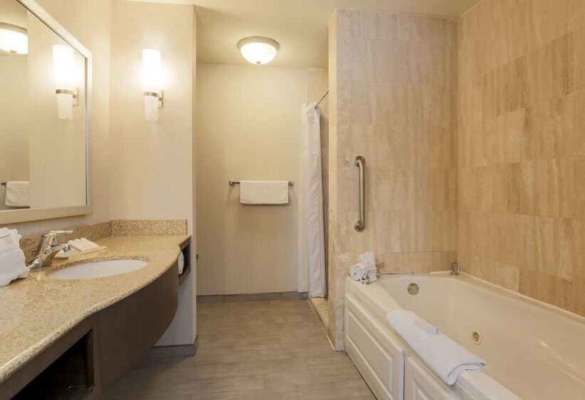 ホテル Hilton Garden Inn Nanuet