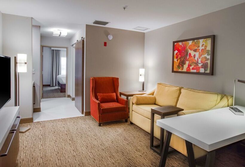 בית מלון כפרי Hilton Garden Inn Oklahoma City Airport