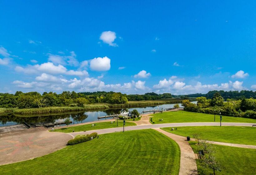 هتل Hilton Garden Inn Suffolk Riverfront