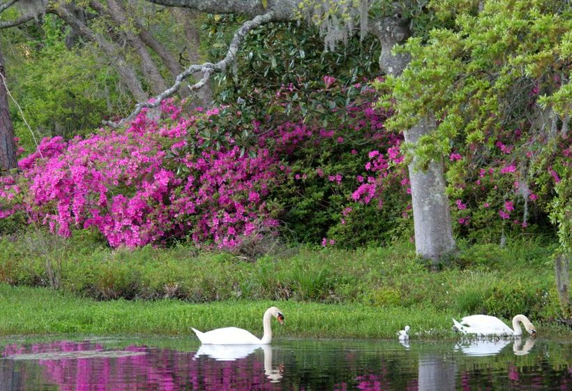 בית מלון כפרי Hilton Garden Inn Wilmington Mayfaire Town Center