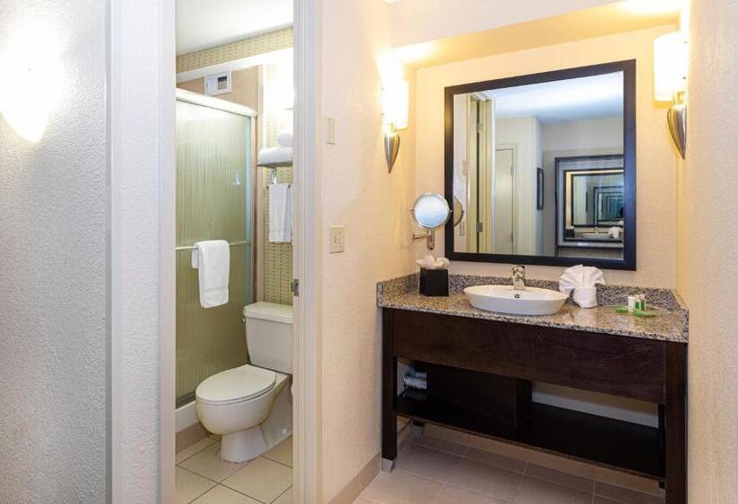 فندق Holiday Inn St. Louis Airport West Earth City, An Ihg