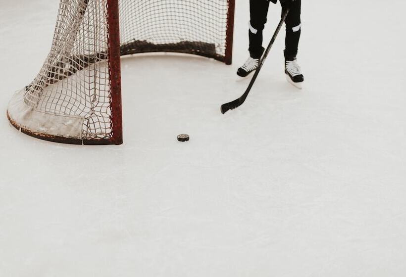 فندق Holiday Inn St. Louis Airport West Earth City, An Ihg