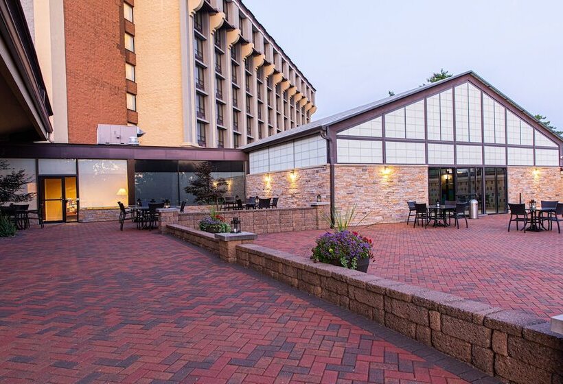 فندق Holiday Inn St. Louis Airport West Earth City, An Ihg