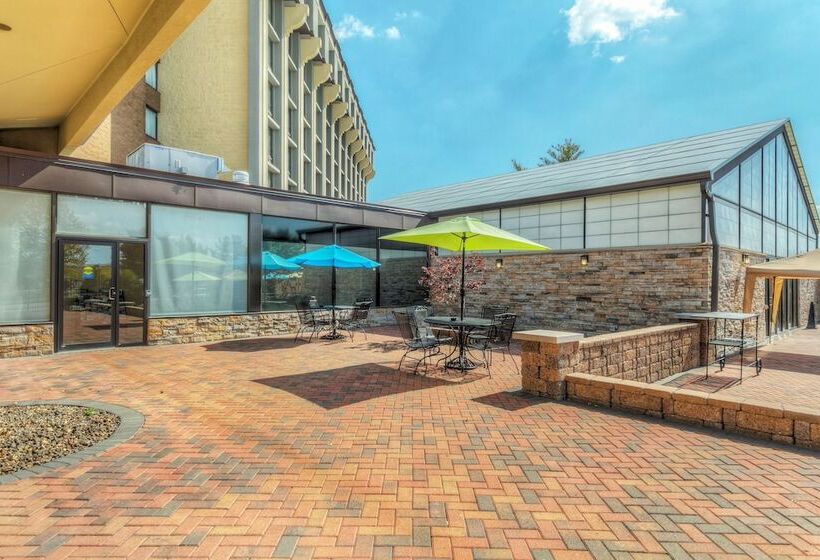 فندق Holiday Inn St. Louis Airport West Earth City, An Ihg