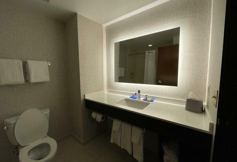 酒店 Holiday Inn Express & Suites Columbia   East Elkridge, Jessup An Ihg