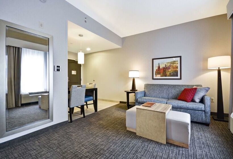 호텔 Homewood Suites By Hilton Ithaca