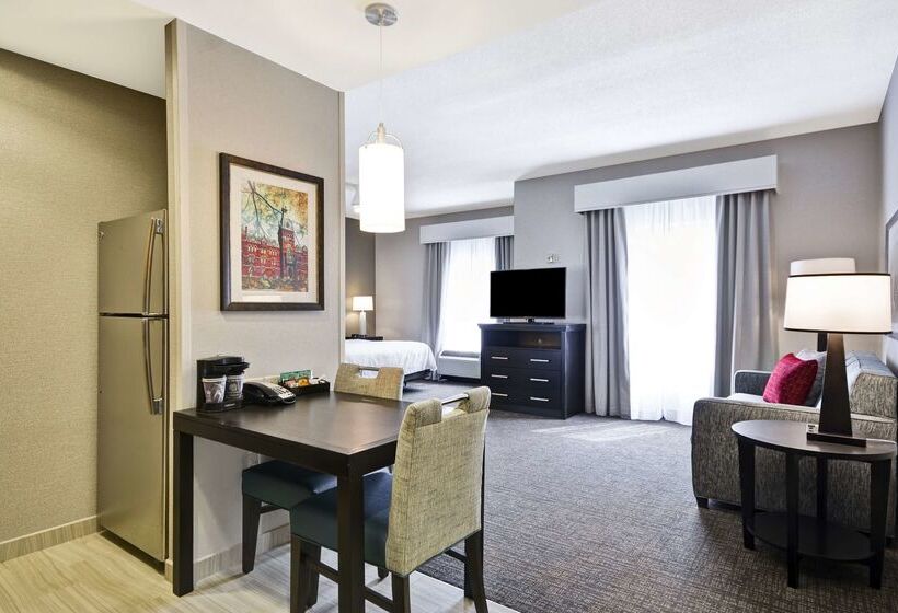 호텔 Homewood Suites By Hilton Ithaca