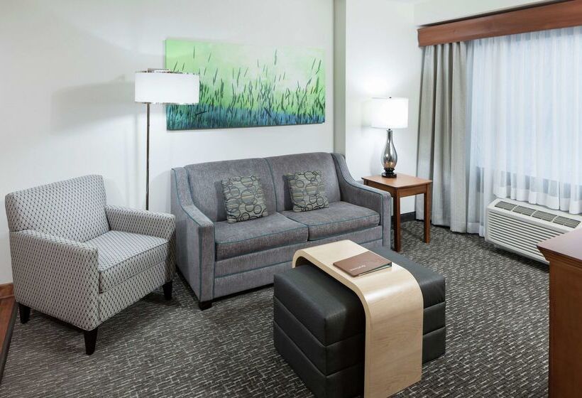 ホテル Homewood Suites By Hilton Omahadowntown