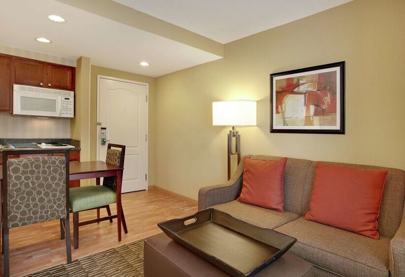 בית מלון כפרי Homewood Suites By Hilton Tampabrandon