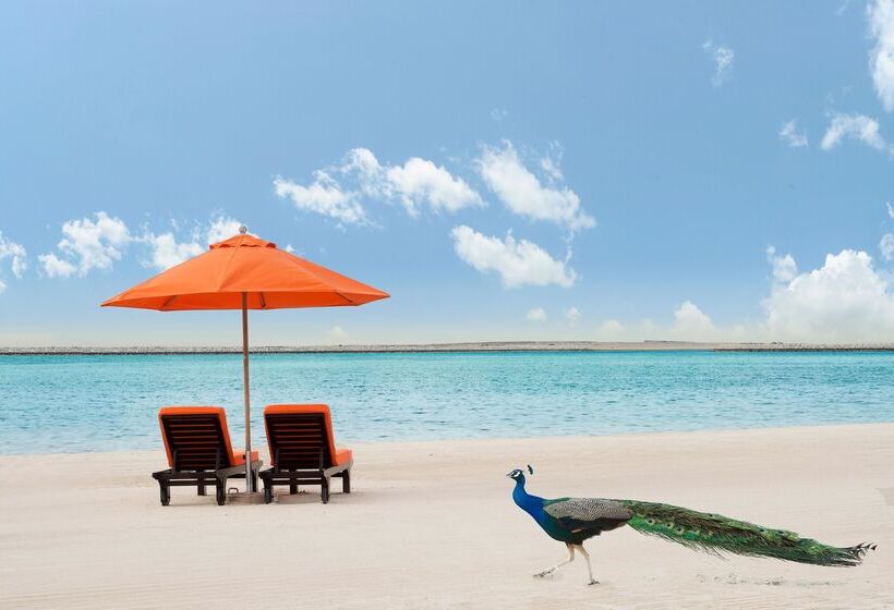 Ja The Resort   Ja Beach Hotel, Dubai