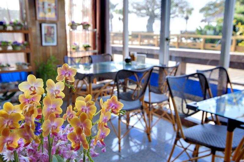 酒店 Kagoshima Sunamushionsen Ibusuki Hakusuikan