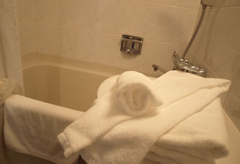 酒店 Keihan Tenmabashi