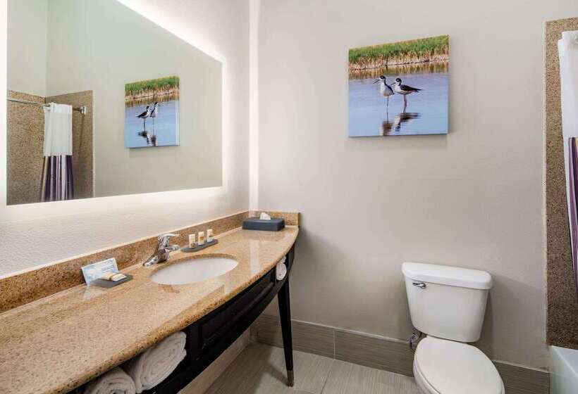 Отель La Quinta By Wyndham Alamo Mcallen East