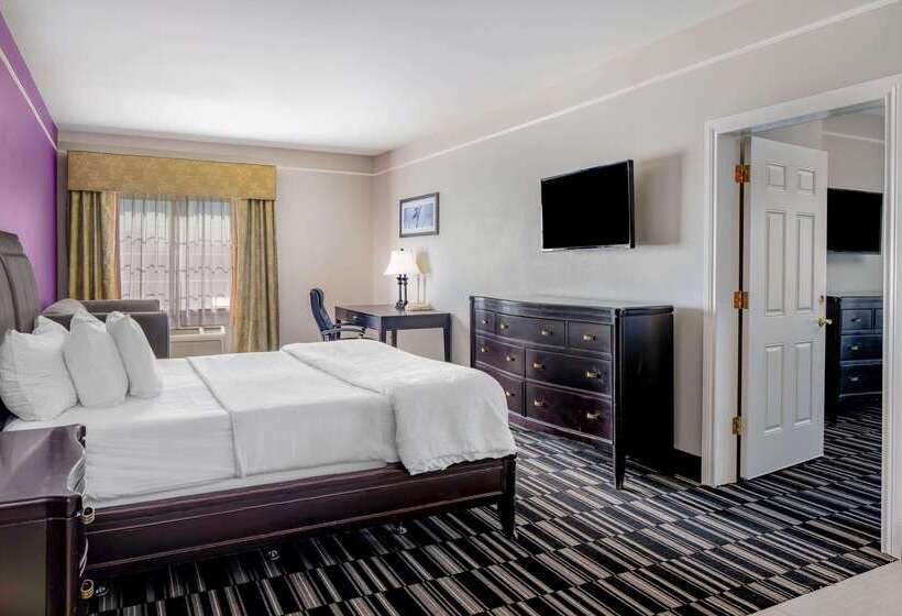 Отель La Quinta By Wyndham Alamo Mcallen East