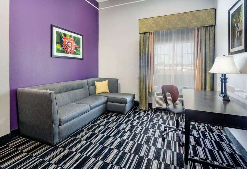 Отель La Quinta By Wyndham Alamo Mcallen East