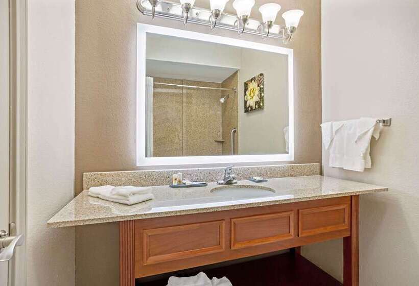 Отель La Quinta By Wyndham Fairfield Tx