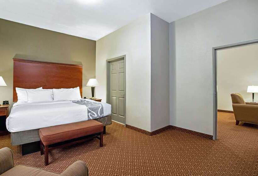 Отель La Quinta By Wyndham Fairfield Tx