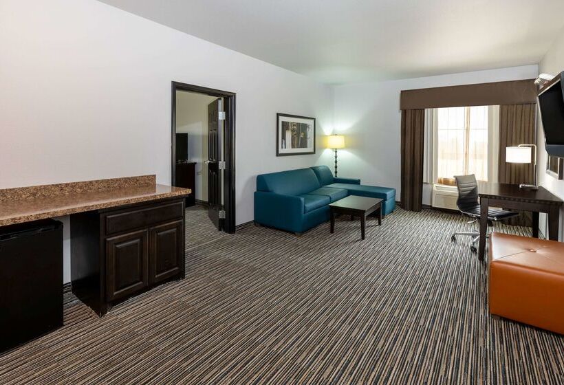 ホテル La Quinta By Wyndham Mt. Pleasant