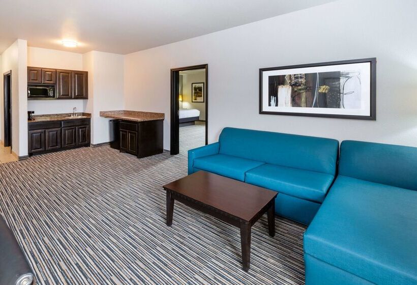 ホテル La Quinta By Wyndham Mt. Pleasant