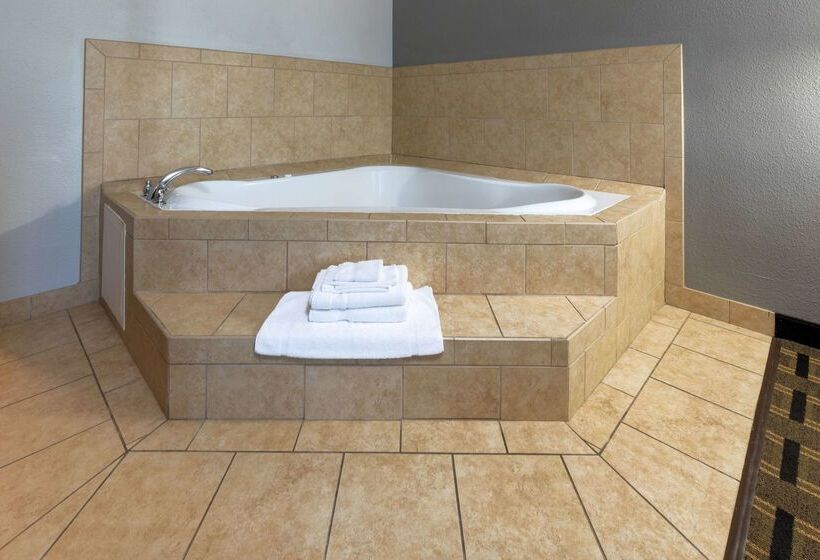 ホテル La Quinta By Wyndham Mt. Pleasant