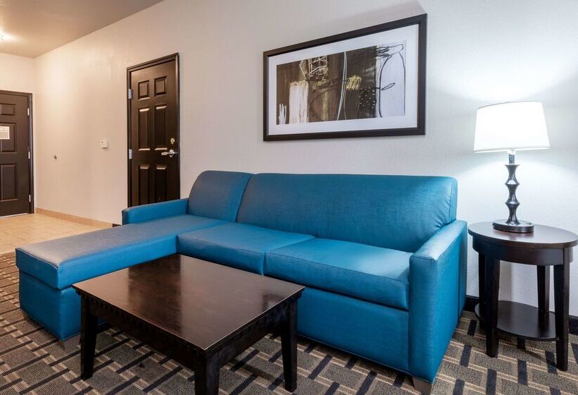 ホテル La Quinta By Wyndham Mt. Pleasant