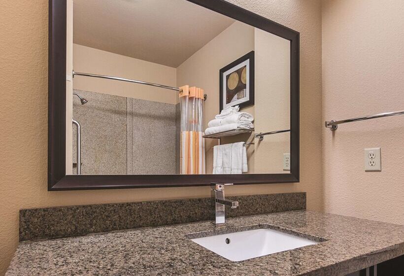 ホテル La Quinta By Wyndham Mt. Pleasant