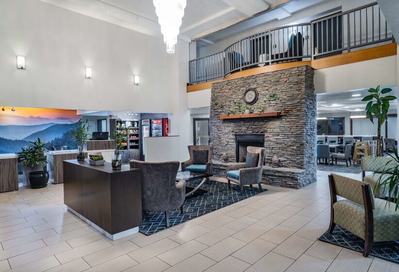 هتل La Quinta By Wyndham Sevierville / Kodak