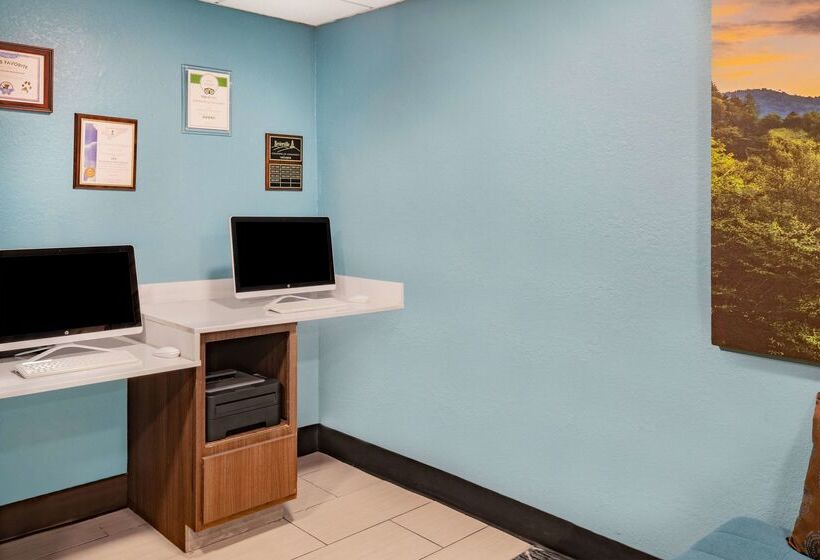 هتل La Quinta By Wyndham Sevierville / Kodak