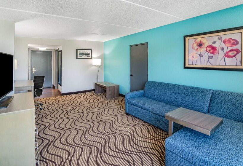 هتل La Quinta By Wyndham Sevierville / Kodak