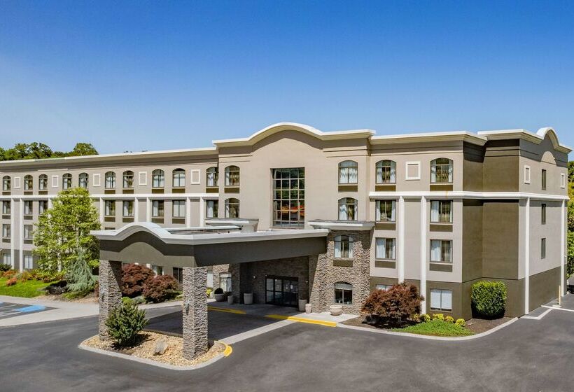 هتل La Quinta By Wyndham Sevierville / Kodak