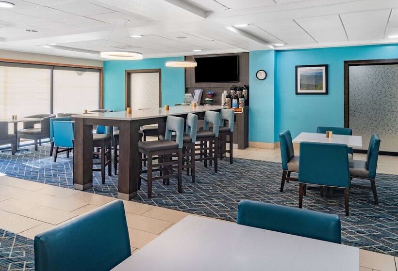 هتل La Quinta By Wyndham Sevierville / Kodak