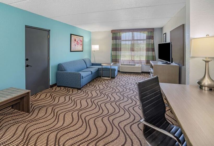 هتل La Quinta By Wyndham Sevierville / Kodak