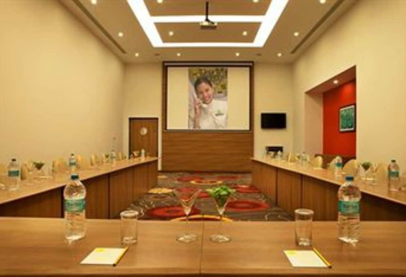 酒店 Lemon Tree Premier  Hitec City  Hyderabad