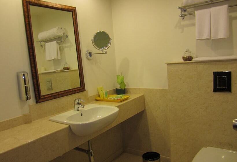 酒店 Lemon Tree Premier  Hitec City  Hyderabad