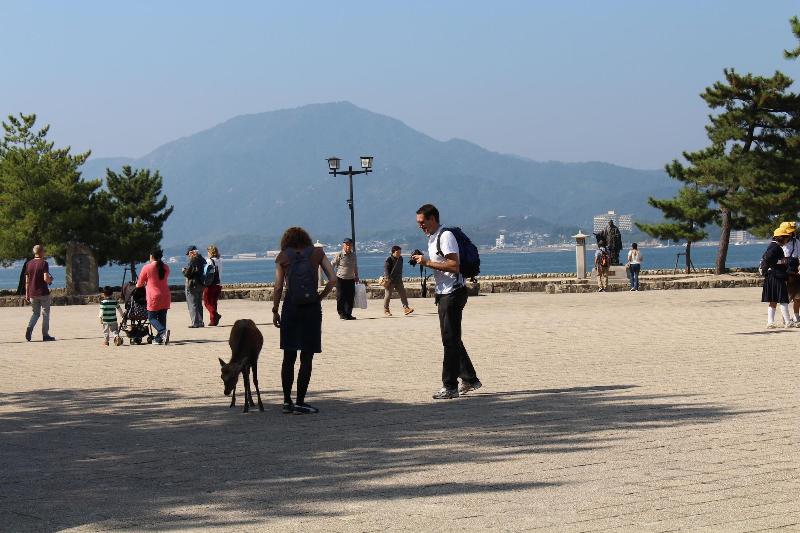 בית מלון כפרי Miyajima Seaside