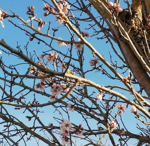 ホテル Parco Ducale Country House